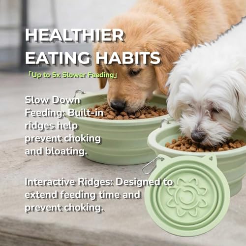 Collapsible Dog Bowls 2 Pack (650ml Each) – Foldable Silicone Travel Bowl Set with Slow Feeder, Water Bowl & Carabiner Clip for Hiking Camping | Dishwasher Safe | for Medium to Large Dogs