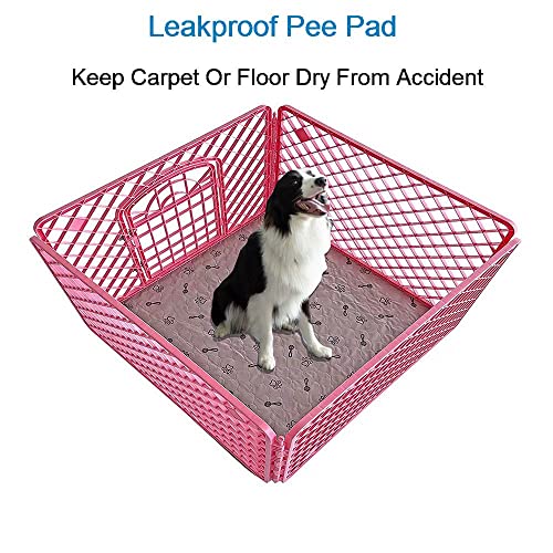 Peepeego 2Pack 36x36 Dog Pads Washable and Free Dog Comb, Reusable Puppy Pads with Fast Absorbent, Waterproof, Non Slip Incontinence Pads for Training, Whelping, for Playpen, Crate, Kennel - size: 2Pack 36x36