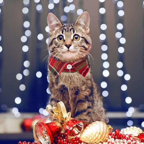 ADOGGYGO Christmas Cat Collars Breakaway with Bow Bell, 2 Pack Stylish Red Green Plaid Xmas Kitten Collar with Removable Shirt Collar, Plaid Christmas Collars for Cats Kittens - color: Christmas-3