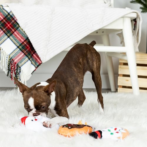 Fringe Studio Plush Dog Toy Set, A Hole Lot of Holiday Fun, 3 Piece Set, Pet Shop Collection (662064) - color: Holiday Fun