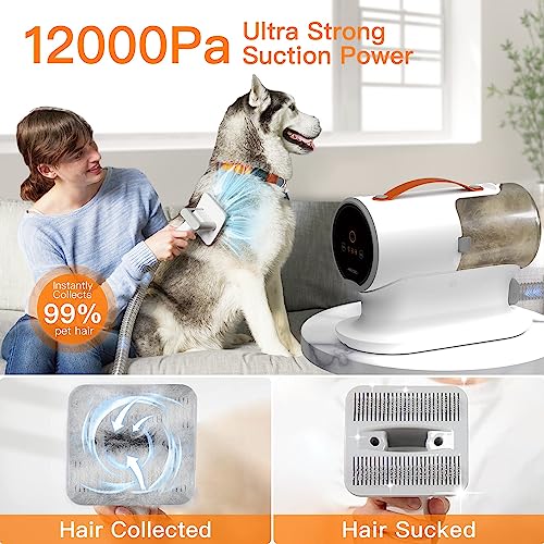 AIRROBO Dog Grooming Vacuum Kit,12000Pa Strong Pet Vacuum for Shedding,Grooming Hai,Quiet,PG100,2L Large Capacity - color: White-5-in-1