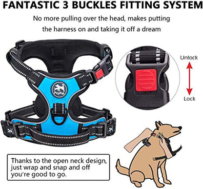 PoyPet Dog Harness and Leash Combo, Escape Proof No Pull Vest Harness, with 5 Feet Leash, Reflective Adjustable Soft Padded Pet Harness with Handle for Small to Large Dogs(Blue,L) - color: Blue, size: L