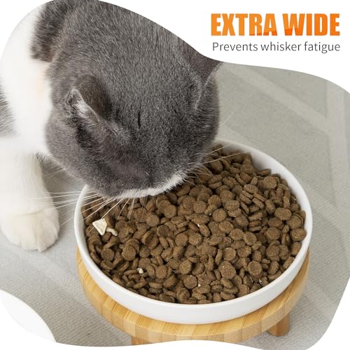 Lusifaco Shallow Elevated Cat Bowls,5.9 Inch Wide Raised Ceramic Cat Dishes with Bamboo Stand, Whisker Friendly Pet Water or Food Plates Feeding Station for Indoor Cats, Kitten(Pink,Set of 1) - color: Pink