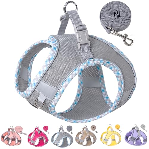 Petank Dog Harness for Small Medium Dogs No Pull, Puppy Harness and Leash Set for Walking, Running, Training, Small Dog Harness, Medium Dog Harness (Grey, XXS) - color: Grey, size: XXS