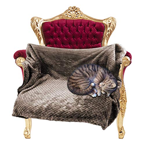 Dog Blanket,Soft Fuzzy Blankets for Puppy, Small,Medium,Large,X-Large Premium Fluffy Blankets Plush Fleece Throw Dog Bed, Couch, Sofa, Reversible Travel Warm Covers - color: Brown, size: L（40x47 inches）