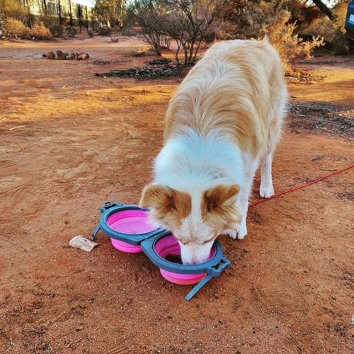 Loving Pets - Bella Roma Double Diner Portable Travel Dog Bowls Collapsible Combined Dog Food & Water Bowls (Pink, Medium) - color: Pink, size: Medium Travel Double Diner