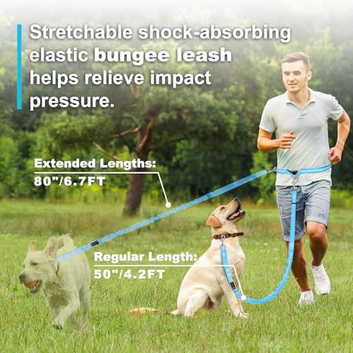 Laqibak Hands Free Dog Leash, Adjustable Waist Leash for Dog Walking, Dual Handle Bungee Dog 4.2-6.7 Feet Long with Reflective Stitches for Walking Hiking Running, Fits 26"- 43" Inch Waist, Blue - color: Blue
