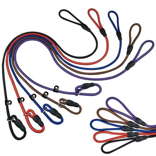 FOVRLZSE Nylon Dog Leash 5-Pack (Red/Black/Blue/Brown/Purple), 4.6FT Training Leash for Small to Medium Dogs, 10mm Braided Nylon with TPU Non-Slip Buckle, Daily Walking & Puppy Training - color: Deep Colors