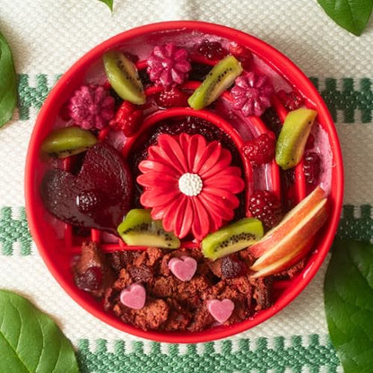 Should We Go? Slow Feeder for Dogs & Puppies, The Slowdown Bowl Silicone Slow Eating, Modern Lick Mat Design, Reduces Gulping, Fits 2 Cups, 7.5” Across x 1.5” Tall, Mealtime Challenge, Medium-Cherry - color: Cherry - Rainbow Design, size: Medium (7.5” Acr
