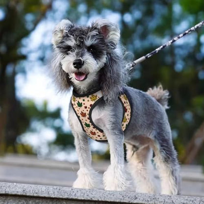Maple Leaves Pet Harness Escape Proof Dog Harness Adjustable Mesh Padded Reflective Dog Vest Harness and Leash Set Small - color: Style 2, size: Small