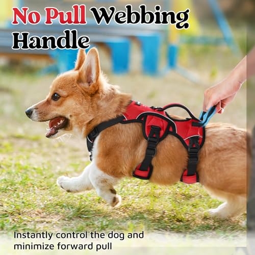 rabbitgoo Escape Proof Dog Harness, Soft Padded Full Body Pet Harness, Reflective Adjustable No Pull Vest with Lift Handle and Leash Clip for Large Dogs Walking Hiking Training, S, Red - color: Red, size: Small (Pack of 1)