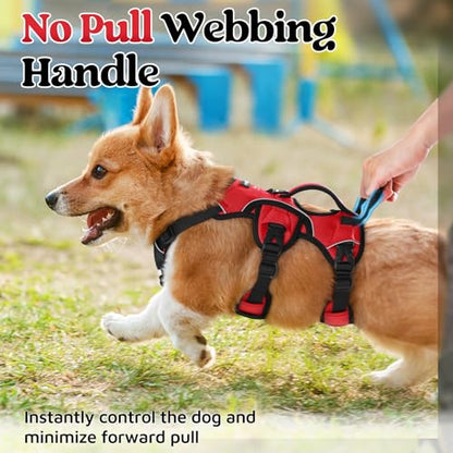 rabbitgoo Escape Proof Dog Harness, Soft Padded Full Body Pet Harness, Reflective Adjustable No Pull Vest with Lift Handle and Leash Clip for Large Dogs Walking Hiking Training, S, Red - color: Red, size: Small (Pack of 1)