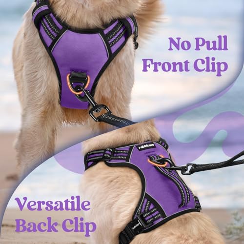 rabbitgoo Dog Harness Small Sized Dog, No Pull Pet Harness with Soft Padded Handle, Adjustable Reflective Vest with 3 Buckles, Easy Walking Harness with 2 Leash Clips, Purple, S - color: Purple, size: Small