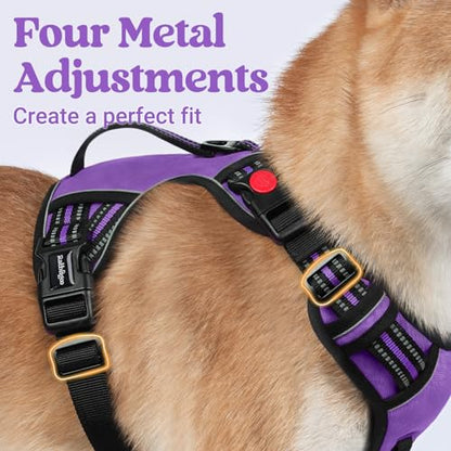 rabbitgoo Dog Harness Small Sized Dog, No Pull Pet Harness with Soft Padded Handle, Adjustable Reflective Vest with 3 Buckles, Easy Walking Harness with 2 Leash Clips, Purple, S - color: Purple, size: Small