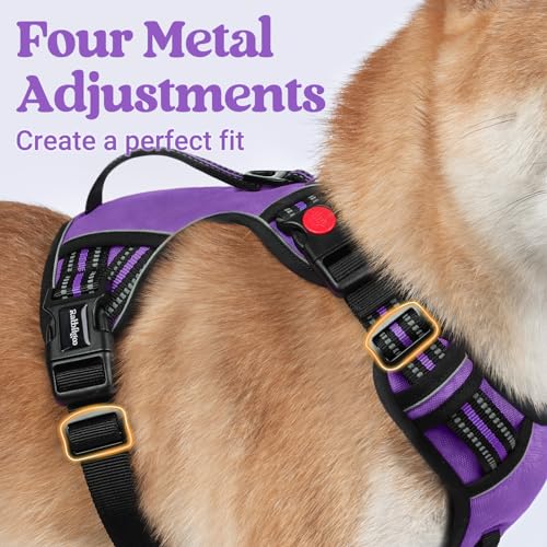 rabbitgoo Dog Harness for Large Dogs, No Pull Pet Harness with Soft Padded Handle, Adjustable Reflective Vest with 3 Buckles, Easy Walking Harness with 2 Leash Clips, Purple, M - color: Purple, size: Medium