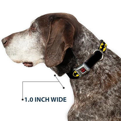Dog Collar Seatbelt Buckle Batman Shield Black Yellow 15 to 26 Inches 1.0 Inch Wide - size: 1" Wide - Fits 15-24" Neck - Large