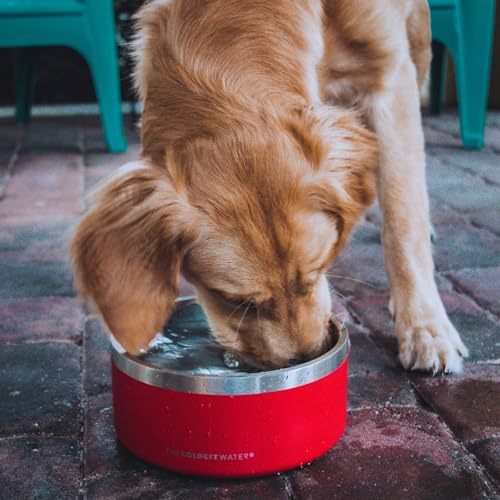 Coldest Dog Bowl - Anti Rust Metal, Non Slip, 3 Layers Insulated Stainless Steel Dog Bowls - Spill Proof & Heavy Duty - Water Bowl for Dogs, Cats & Pets, Dish Washer Safe (21 oz, Carrara Marble) - color: Carrara Marble, size: 21 oz