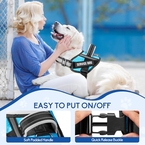 Service Dog Vest Harness and Leash Set, Animire in Training Dog Harness with 10 Dog Patches, Reflective Dog Leash with Soft Padded Handle for Dogs (Light Blue,Xs) - color: Light Blue, size: XS