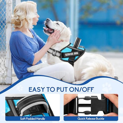 Service Dog Vest Harness and Leash Set, Animire in Training Dog Harness with 10 Dog Patches, Reflective Dog Leash with Soft Padded Handle for Small, Medium, Large, and Extra-Large Dogs (Light Blue,S) - color: Light Blue, size: S