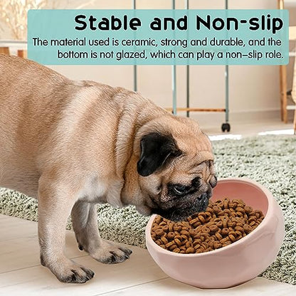 kathson 7'' Ceramic Slanted Dog Bowl Cat Food Water Bowls Dish Tilted 15° Pet Comfort Feeding Bowls Heavy Weighted Feeder for Wet or Dry Food (Pink) - color: Pink