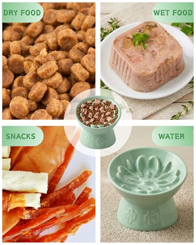 Ceramic Slow Feeder Cat Bowl, 15° Tilted Elevated Cat Slow Eating Bowl for Neck Protection, Anti Vomiting Dog Slow Feeder, Whisker Friendly & No Black Chin for Cats and Small Dogs, Green - color: 02-Green