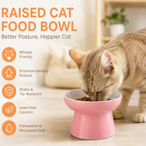Raised Cat Food Bowl – Ceramic Elevated Cat Bowl for Whisker & Neck Fatigue,Non-Slip & Anti Vomiting Pet Feeder for Kittens to Adult Cats and Small Dogs,Dishwasher Safe(Pink) - color: Pink