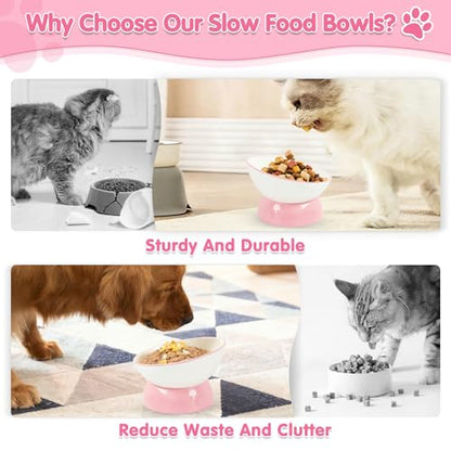 Cat Food Bowl, Ceramic Cat Bowls, Anti Whisker Fatigue Cats Bowl Set,Shallow Wide Kitten Plates for Food and Water (Pale Pink Xie) - color: Pale Pink Xie