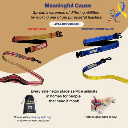 Hands-Free Leash for Small to Large Dogs 5ft - Heavy Duty Adjustable Waist Belt, Padded Handles, Reflective Stitching, Satin Carry Bag for Walking, Running, Hiking - color: Blue/Yellow