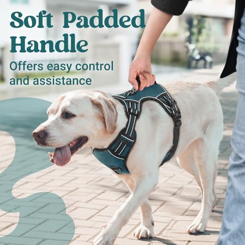 rabbitgoo Dog Harness for Large Dogs, No Pull Pet Harness with Soft Padded Handle, Adjustable Reflective Vest with 3 Buckles, Easy Walking Harness with 2 Leash Clips, Green, M - color: Green, size: Medium