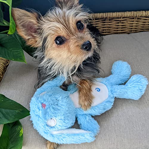 Huxley & Kent Slappies for Dogs | Betty Bunny (Large) | Squeak & Shake Dog Toy | No Stuff Squeaky Toy, TPR Ball in Head | Simulates Hunting Nature for Dogs - size: Large, style: Betty Bunny