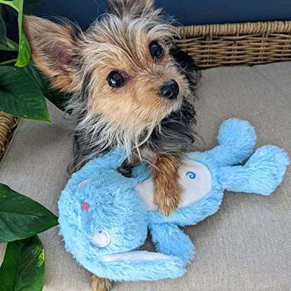 Huxley & Kent Slappies for Dogs | Betty Bunny (Large) | Squeak & Shake Dog Toy | No Stuff Squeaky Toy, TPR Ball in Head | Simulates Hunting Nature for Dogs - size: Large, style: Betty Bunny