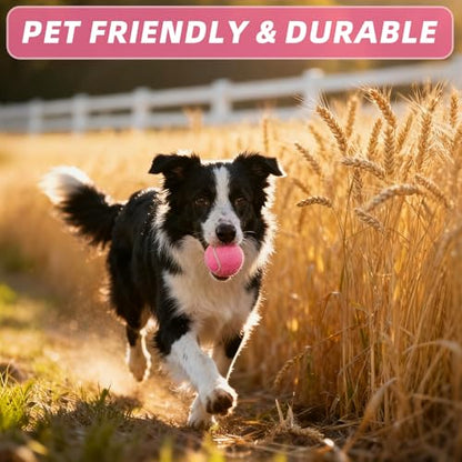 PoyPet 16-Pack Tennis Balls Bulk for Practice,Training and Beginners | Ideal for Dog Fetch,Chew and Play - color: Pink
