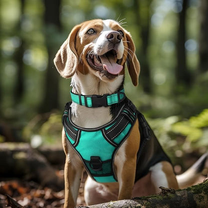 Reflective Dog Collar,Soft Neoprene Padded Breathable Nylon Pet Collar Adjustable for Large Dogs,Teal, L - color: Teal