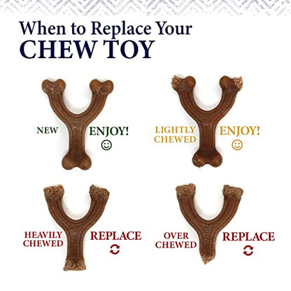 Nylabone Gourmet Style Wishbone Strong Chew Toy for Dogs, Chicken Flavor, Small - Up to 25 lbs, 1 Count - size: Small