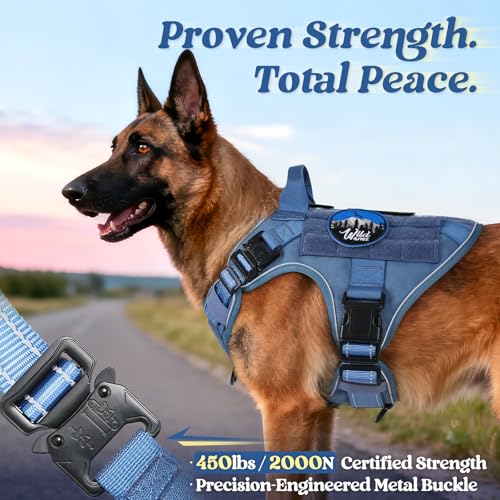 rabbitgoo Tactical Dog Harness Small Sized, No Pull Upgraded Reflective Heavy Duty Molle Vest with Handle, Adjustable Military Service Dog Vest for Walking Hiking Training, Blue, S - color: Blue Reflective, size: Small