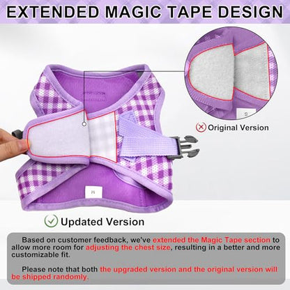AIITLE Small Dog Harness with Leash – Soft Breathable Mesh, Plaid Pattern & Reflective Strips – Ideal for Training, Running & Party Outings (S, Purple) - color: Purple, size: S