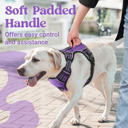 rabbitgoo Dog Harness for Large Dogs, No Pull Pet Harness with Soft Padded Handle, Adjustable Reflective Vest with 3 Buckles, Easy Walking Harness with 2 Leash Clips, Purple, M - color: Purple, size: Medium