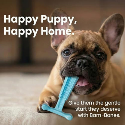 SPOT Bam-Bones Puppy T-Bone Dog Chew Toy, Chicken Flavor, 6 Inch, Bamboo Fiber & Flexible Rubber, Easy Grip Design for Gentle Chewers, Small Dogs & Puppies