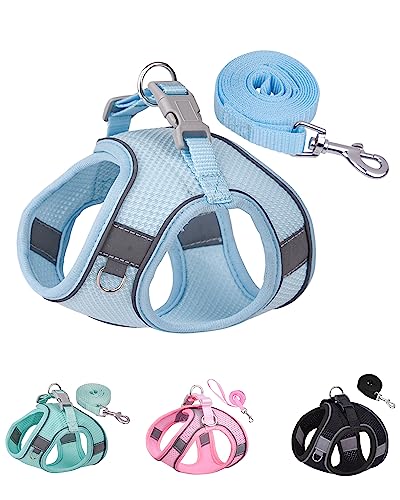 SOLMOONY Dog Harness for Small Medium Large Dogs No Pull, Puppy and Leash Set, Dogs, Step in Harness, mesh Harness. (Bule, XS) - color: Bule, size: XS