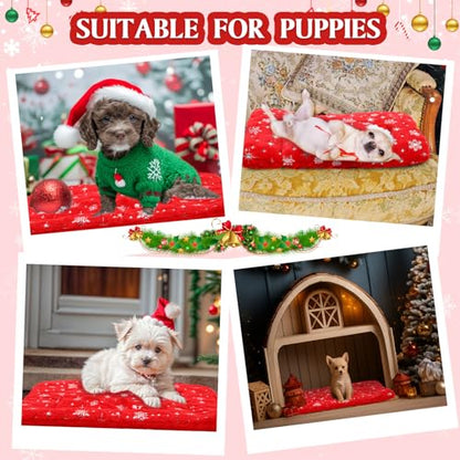 2 Pack Winter Self Warming Cat Mat Snowflake Red Self Heating Pad Bed 22" x 18" Reversible Reflects Body Heat Machine Washable Thermal Pet Blanket for Winter Indoor Pet Kitten Dog Crate - color: Red