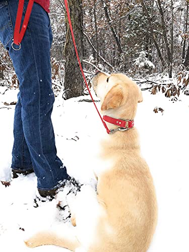 Regal Dog Products Waterproof Leash – 5 ft. Red Dog Leash with Easy to Use Collar Hook, Lightweight, and Proof Training Pet Lead with Vinyl-Coated Webbing for Small, Medium, Large, or XL Dogs - color: Red