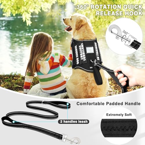 Service Dog Vest Harness and Leash Set+10 Patches,No Pull&Easy Walk Reflective Dog Harness with Soft Padded Handle for Training/Everyday,Fit Small/Medium/Large/Extra-Large Dogs(Black M) - color: Black, size: Medium
