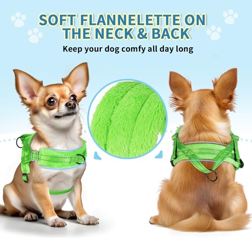 SlowTon No Pull Small Dog Harness and Leash Set, Puppy Soft Vest Harness Neck & Chest Adjustable, Reflective Lightweight & Anti-Twist Pet Lead Combo for Small Medium Dogs (G- Front Clip,S) - color: B-Light Green - With Front Clip, size: Small