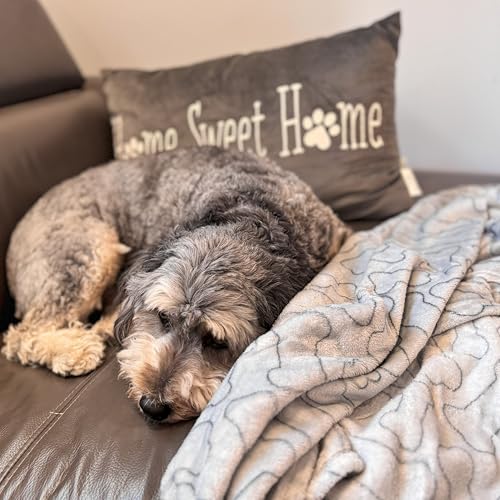 SPOT Snuggler Bones Blanket - Ultra Soft, Machine Washable Dog Blanket for Beds, Furniture Protection, Travel, and Crates - 40 x 60 inch, Grey Fleece Throw with Bone Print Design - size: 40 x 60", style: Bones Print