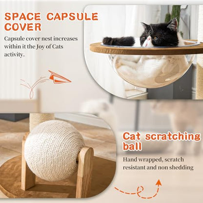 Modern Cat Tree for Indoor Cats, Wood Cat Tree with Natural Sisal-Covered Scratching Posts, Unique Cat Furniture Activity Center with Cat Scratching Ball Toy - color: SCT003 new