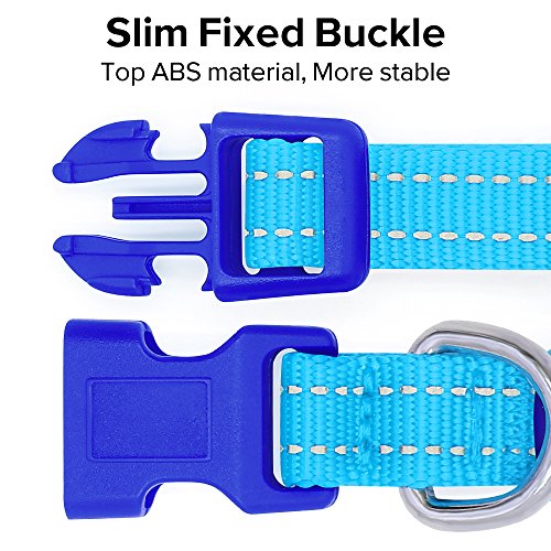 BSEEN Light Up Dog Collar, Rechargeable LED Dog Collar Reflective Glowing Pet Collar for Puppies & Cats, Safety Dog Lights for Night Walking (Blue) - color: Blue