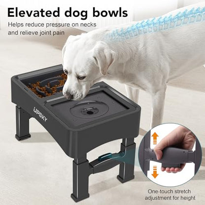 UPSKY 2-in-1 Elevated Dog Bowls Slow Feeder, 4 Height Adjustable Raised Bowls Stand, No Spill Dog Water Bowls, Anti-Slip Food and Water Bowl for Small Medium Dogs(Not Include Stainless Steel Bowl) - color: no