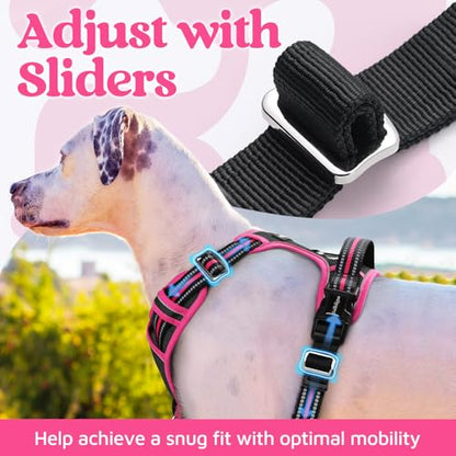 rabbitgoo Dog Harness Small Sized, No Pull Dog Vest with 3 Buckles, Adjustable Soft Padded Pet Harness with Easy Control Handle and Reflective Strips, Black & Rose Pink, S - color: Black & Rose Pink, size: Small