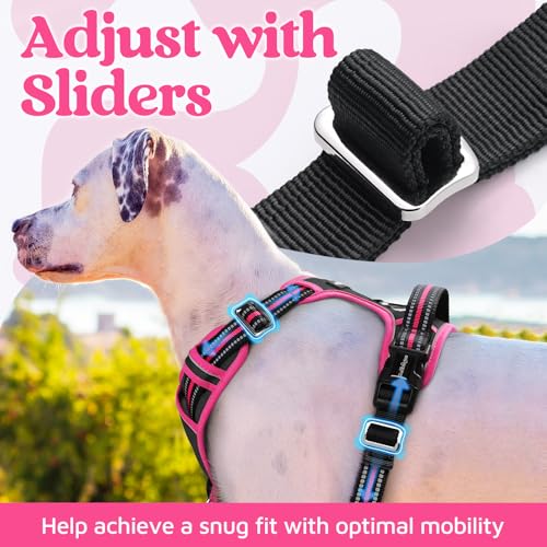 rabbitgoo Dog Harness Medium Sized, No Pull Dog Vest with 3 Buckles, Adjustable Soft Padded Pet Harness with Easy Control Handle and Reflective Strips, Black & Rose Pink, M - color: Black & Rose Pink, size: Medium