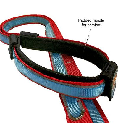 Kurgo Quantum 6-in-1 Dog Leash, Multi-Use Dog Lead for Walking & Running, Adjustable, Hands-Free Option, Coastal Blue - color: Coastal Blue
